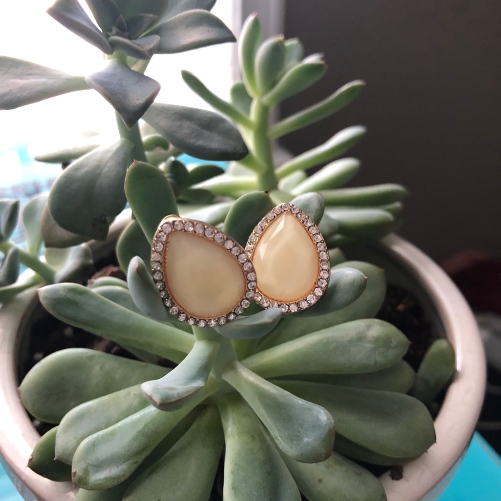 Classy earrings